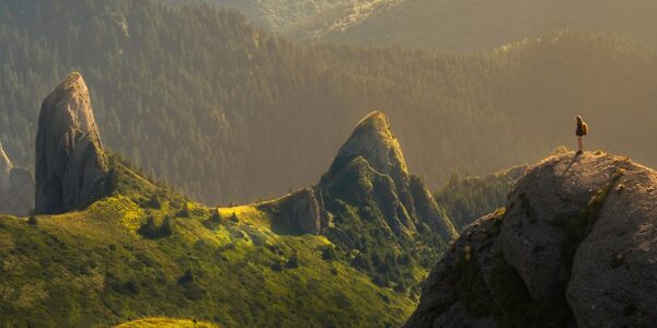 Parque com luz dourada para um passeio sereno